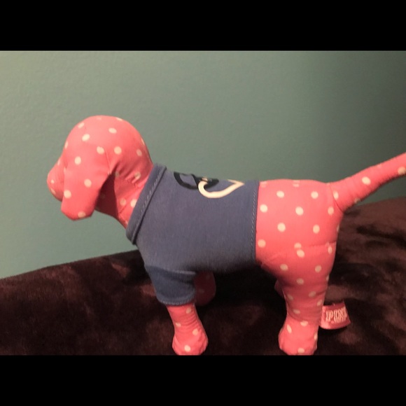 VS Pink dog - Picture 3 of 4
